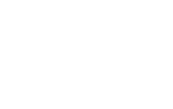 Karbon Excellence Award